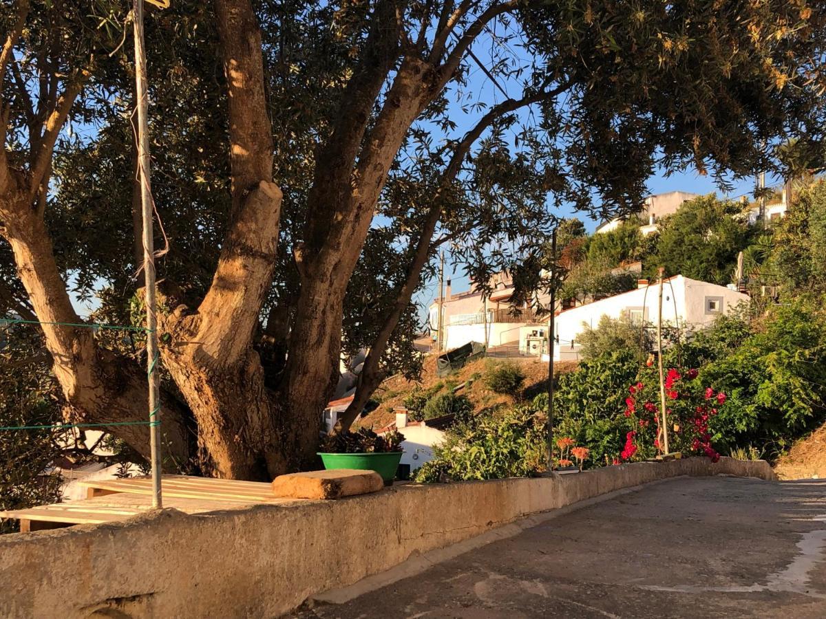 Casa Anneli - Relaxing Under The Olive Tree Βίλα Aljezur Εξωτερικό φωτογραφία